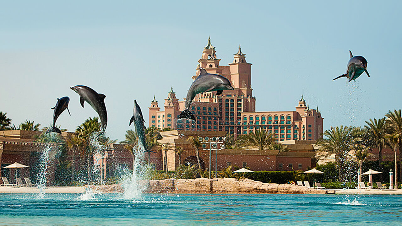 Dolphin Bay Atlantis Hotel Dubai
